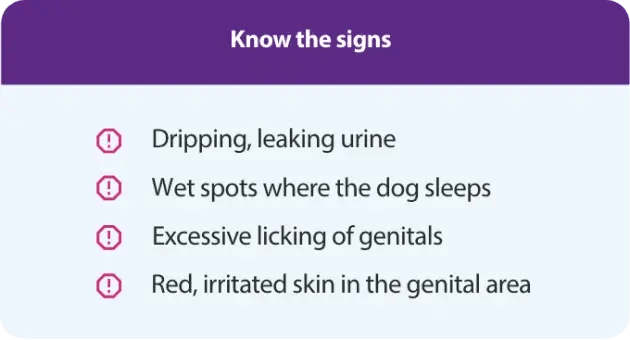 knowthesigns 1-1