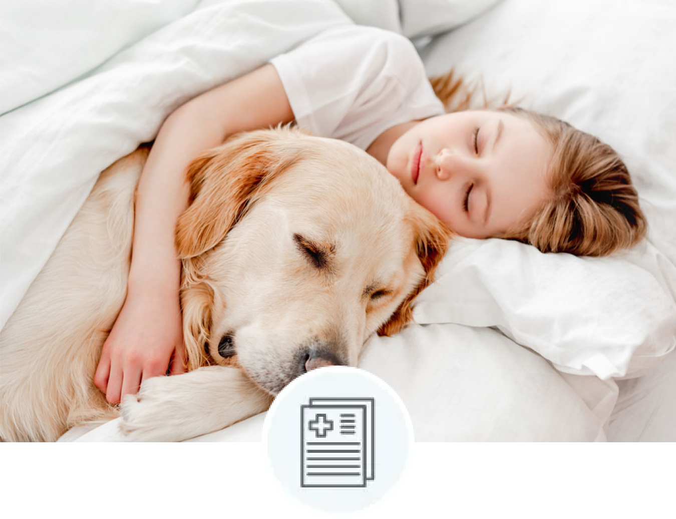 pet-brochure-header 1